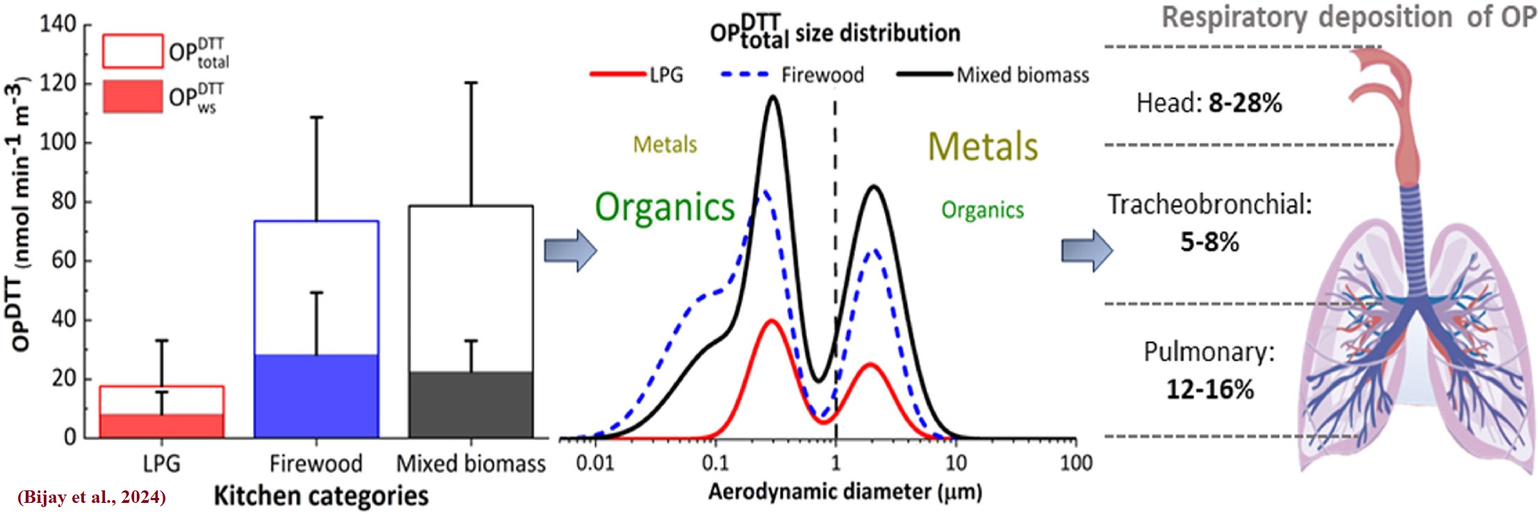 Bijay et al 2024 OP g.abs.